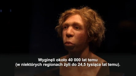 Walka i przetrwanie. Neandertalczycy prawdopodobnie opiekowali się rannymi