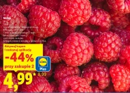 Maliny Plus-Plus
