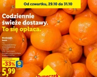 Mandarynki Plus-Plus
