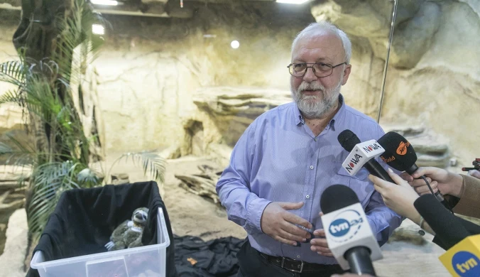 Radosław Ratajszczak był prezesem zoo we Wrocławiu