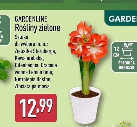 Завод Gardenline