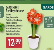 Завод Gardenline