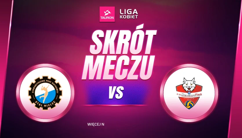 ITA TOOLS Stal Mielec - Developres Rzeszów. Skrót meczu. WIDEO