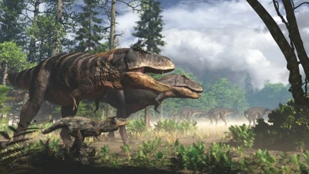 Nanotyrannus był nieco mniejszym krewnym tyranozaura