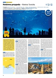 Lato 2027 w europejskim stylu - Rainbow