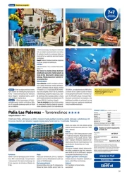 Lato 2027 w europejskim stylu - Rainbow