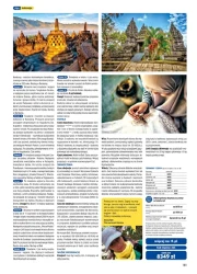 Odkryj świat latem 2027 - Rainbow