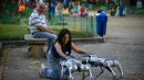 Amerykański startup szuka chętnych do wyprowadzania psów-robotów
