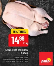 Kaczka K!