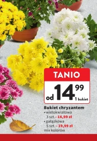 Bukiet