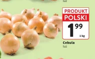 Cebula Polski