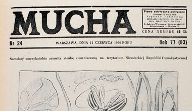 1 czerwca 1950 r. "Trybuna Ludu" o stonce ziemniaczanej