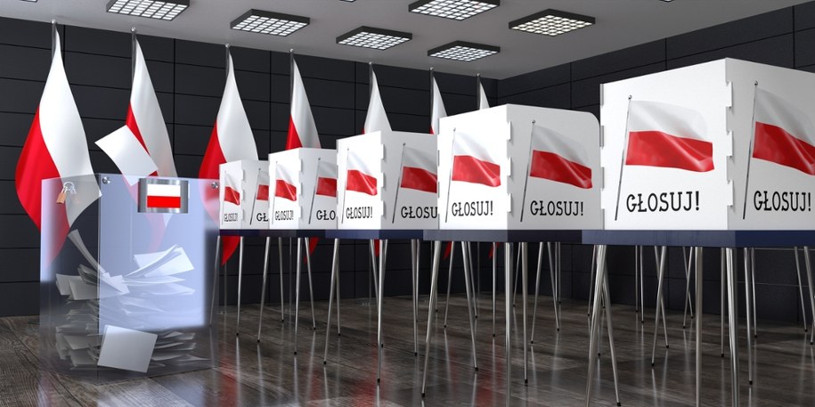 1 czerwca odbędzie się druga tura wyborów prezydenckich w Polsce /Shutterstock