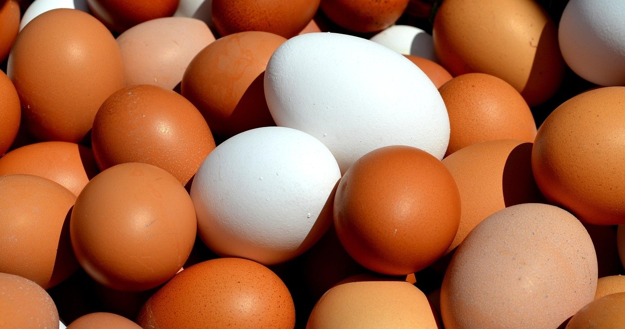 1 яйце на день - норма, але не для всіх. З цим продуктом слід бути обережними /pixabay.com