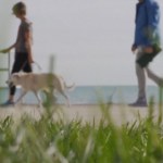 10 tysięcy kroków czy mniej? Co sprawia, że spacery są tak dobre dla zdrowia?