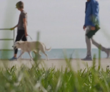 10 tysięcy kroków czy mniej? Co sprawia, że spacery są tak dobre dla zdrowia?