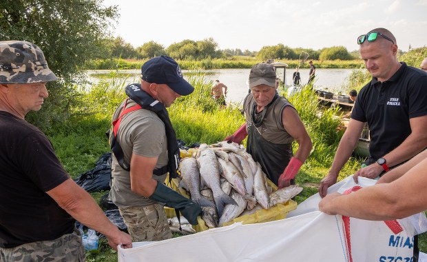 100 dni po zatruciu Odry: Wciąż bez konkretów