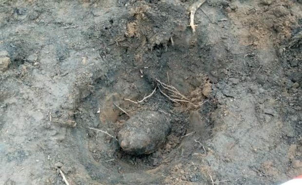 100-kilogramowa bomba lotnicza znaleziona we Wrocławiu. W akcji saperzy