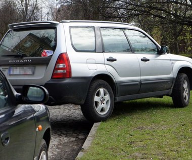 1000 zł kary za parkowanie na trawniku?