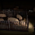 11 Bit Studios 11 Bit Studios zapowiada Crop. Polacy wydadzą… mroczny symulator rolniczy