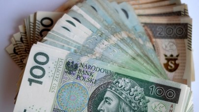 11-latka z ogromnym długiem, komornik zajął część jej renty. Jest reakcja resortu sprawiedliwości