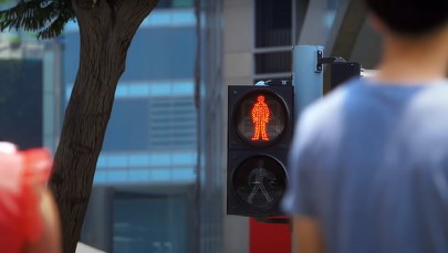 1100 zł mandatu za przejście na czerwonym świetle