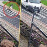 12-latek na hulajnodze wjechał prosto pod auto. Dramatyczny filmik