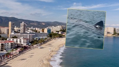 ​12-metrowy rekin tuż przy plaży kurortu. Polacy jeżdżą tam na wakacje 