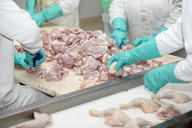 12 ton mięsa zabezpieczono i znajduje się ono pod nadzorem inspekcji weterynaryjnej /&copy;123RF/PICSEL