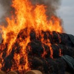 13-latek spowodował straty na 125 tys. zł. Ogień wymknął się spod kontroli