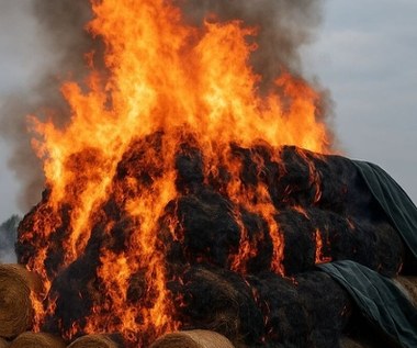 13-latek spowodował straty na 125 tys. zł. Ogień wymknął się spod kontroli