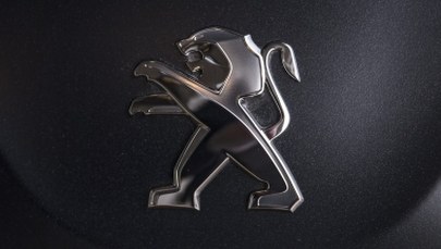 14,5 tys. euro dziennie. Niebotyczna podwyżka pensji dla prezesa koncernu 