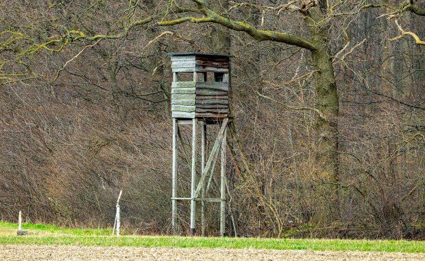 14-latek postrzelony przez myśliwego