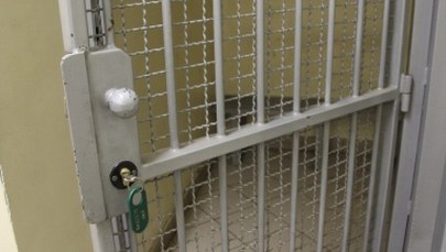 14-latka w stanie krytycznym. W sprawie postawiono kolejne zarzuty