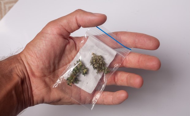 14-latka z narkotykami w szkole. Policja zatrzymała dilera  