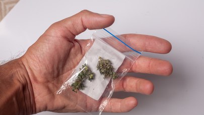 14-latka z narkotykami w szkole. Policja zatrzymała dilera  