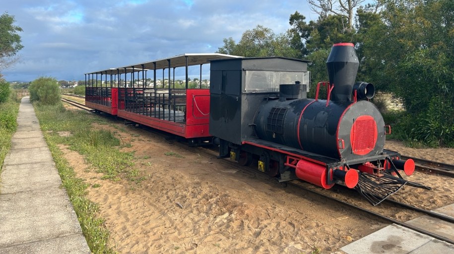 14 osób zostało rannych w wyniku zderzenia się dwóch pociągów turystycznych /Shutterstock