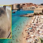 15 godzin w zderzaku, 1000 km od domu. Niesamowita historia kotki z Olkusza