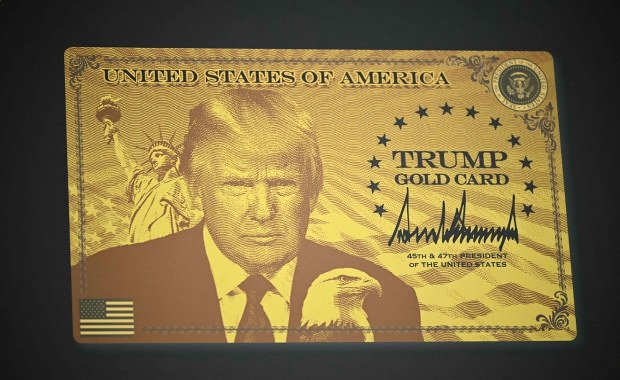 15 tys. dolarów za aplikację, milion za pobyt. Jak otrzymać "złotę kartę" Trumpa?