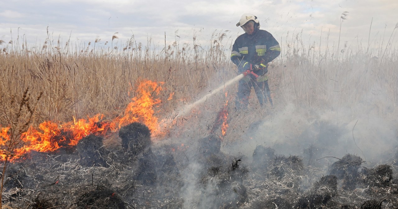 150 strażaków walczyło z pożarem w Biebrzańskim Parku Narodowym