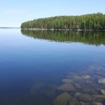 Finlandia 1500 choinek wrzucono do jeziora. Skutek przerósł oczekiwania