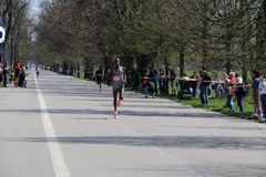 16. Mini Cracovia Maraton im. Piotra Gładkiego