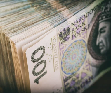 162 mld euro na koniec kwietnia. NBP podał nowe dane o aktywach rezerwowych Polski 
