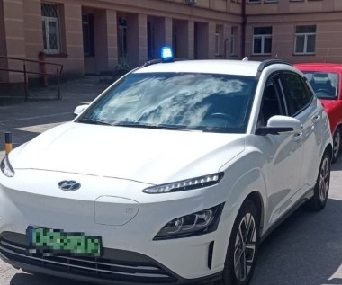 17-latek ukąszony przez szerszenia. Miał wstrząs anafilaktyczny 