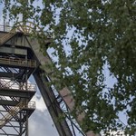 18 górników z kopalni Pniówek zakażonych koronawirusem