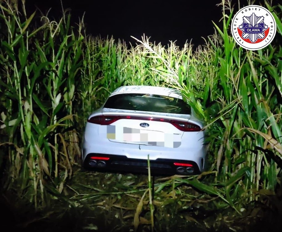 18-latek bez prawa jazdy wylądował w polu kukurydzy /Dolnośląska Policja /