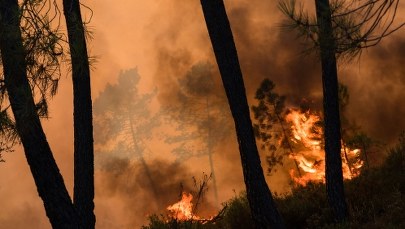 18-letni Polak zatrzymany w Czarnogórze. Miał rzucić niedopałek, jest podejrzany o wywołanie pożaru