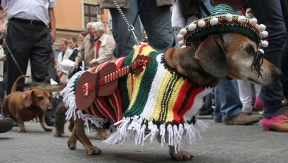 18. Marsz Jamników na ulicach Krakowa