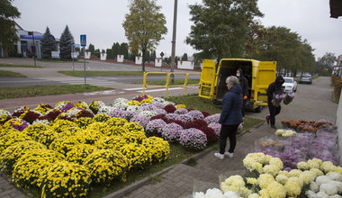 180 mln zł dla przedsiębiorców, którzy nie sprzedadzą zniczy i kwiatów