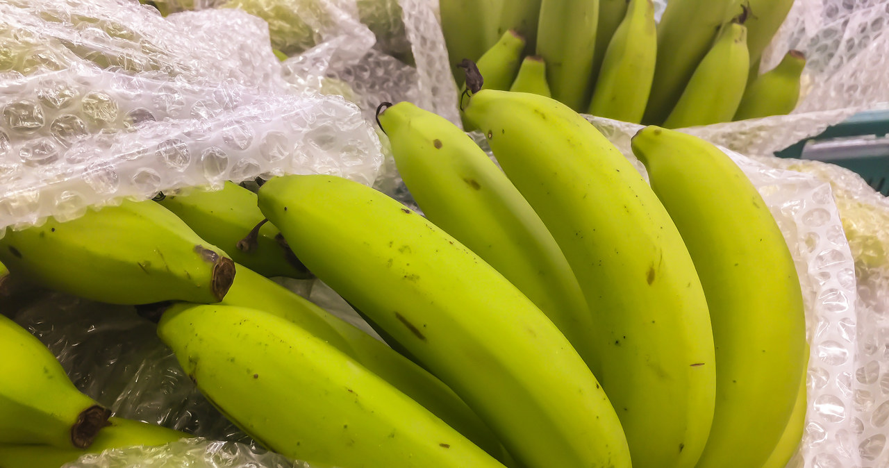 ​19 kg kokainy o wartości czarnorynkowej 5 mln zł znaleziono w bananach /123RF/PICSEL